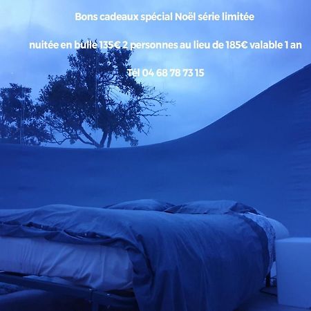 Relais De L'Alsou- Piscine Bed & Breakfast Labastide-en-Val ภายนอก รูปภาพ