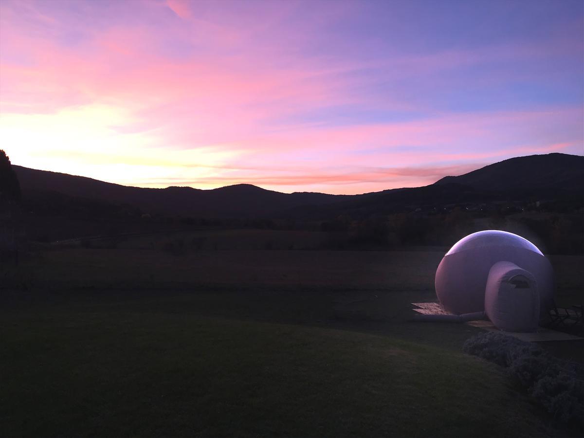 Relais De L'Alsou- Piscine Bed & Breakfast Labastide-en-Val ภายนอก รูปภาพ
