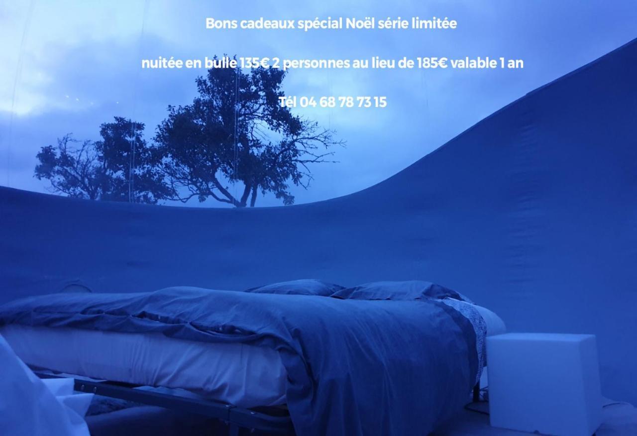 Relais De L'Alsou- Piscine Bed & Breakfast Labastide-en-Val ภายนอก รูปภาพ